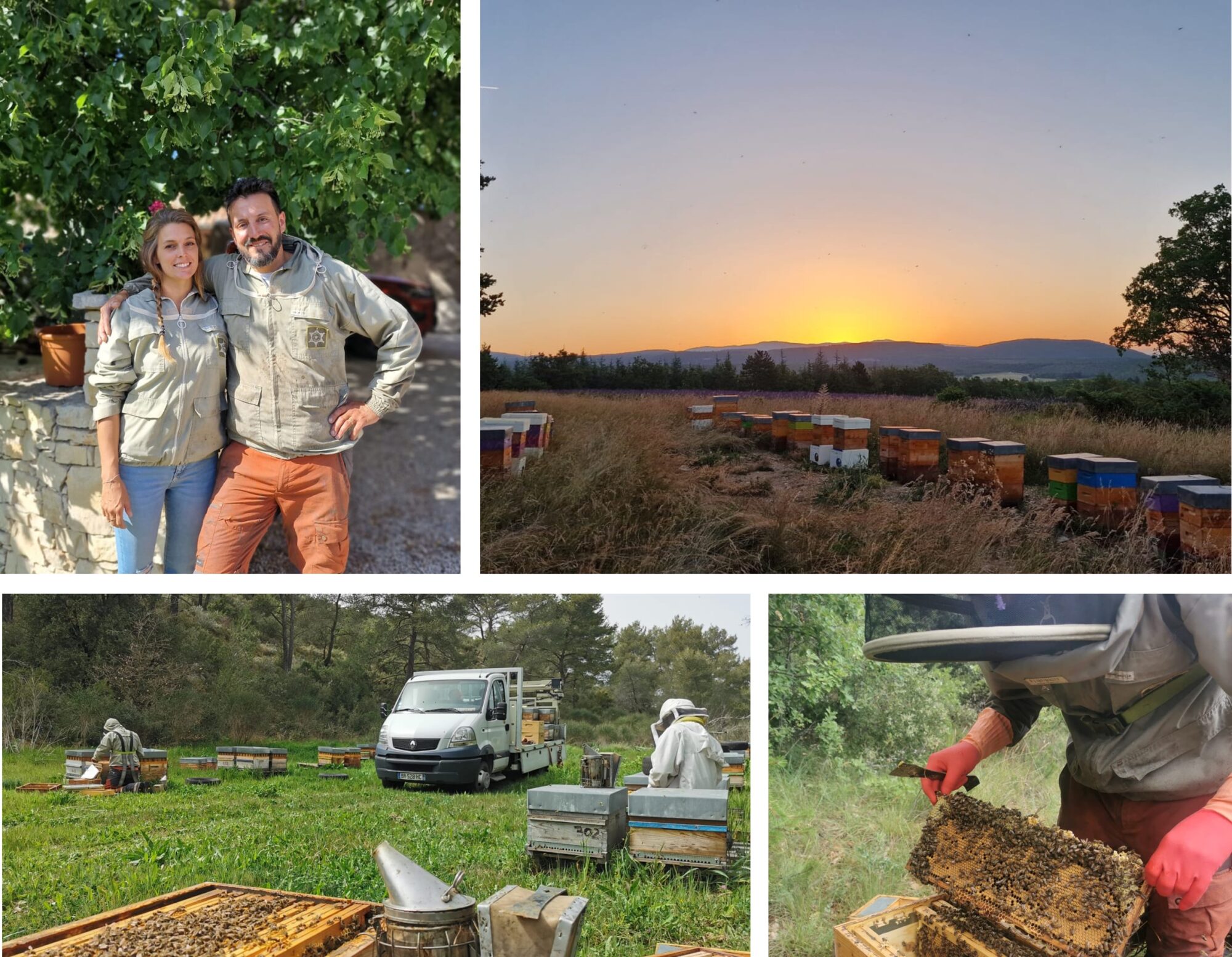 Les ruchers de la Fontaine, notre fournisseur de miel, un trésor pour la santé