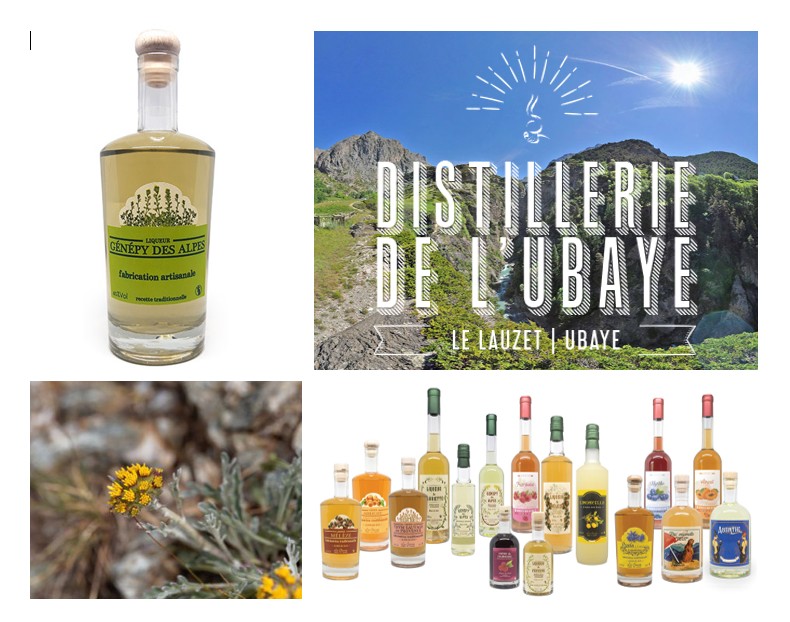 Pour le digestif, la distillerie OSUD fabrique des liqueurs avec les plantes d'ici